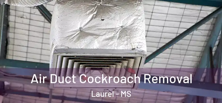  Air Duct Cockroach Removal Laurel - MS