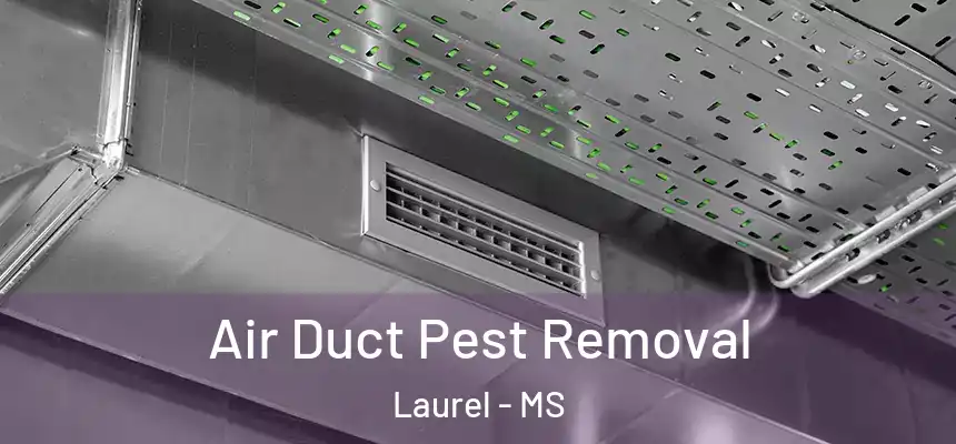  Air Duct Pest Removal Laurel - MS