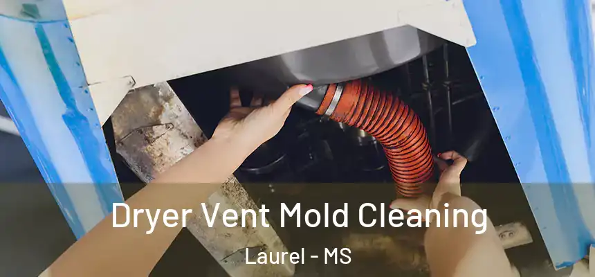  Dryer Vent Mold Cleaning Laurel - MS
