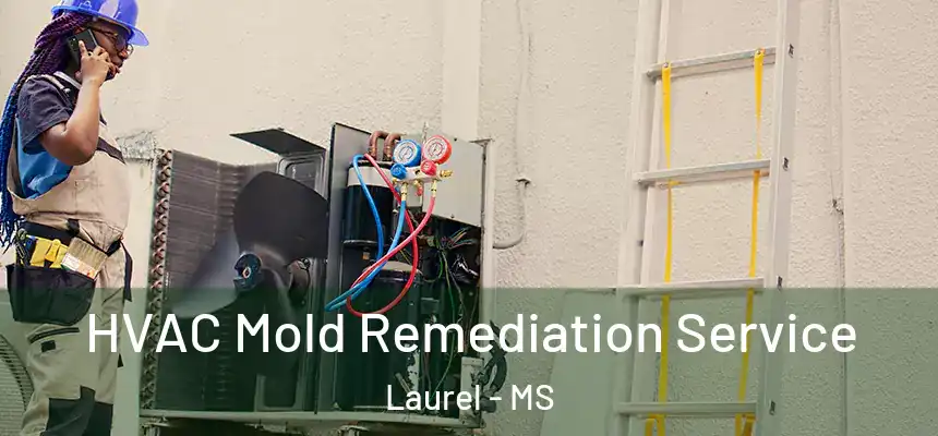  HVAC Mold Remediation Service Laurel - MS