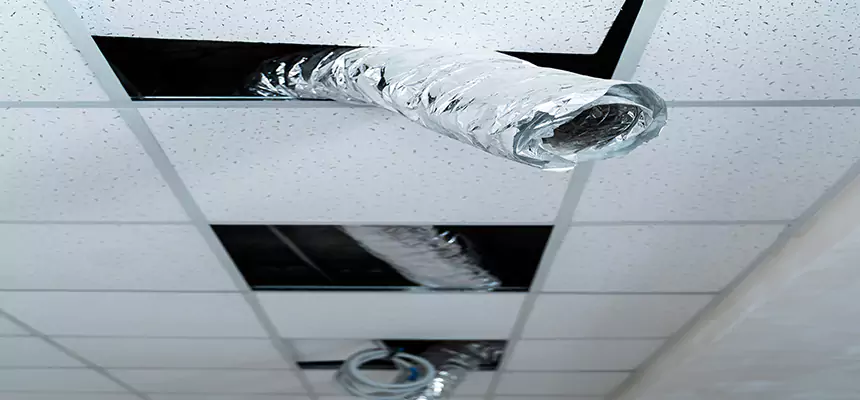 Our Air Duct Pet Hair Removal Services in Laurel, MS