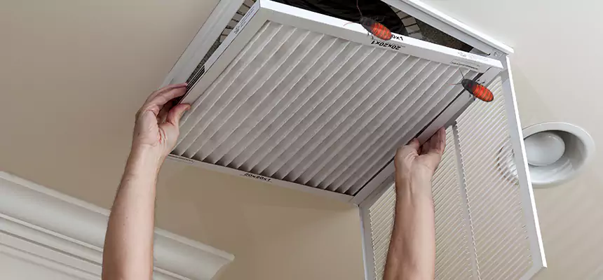 Our Insect Removal from Air Ducts Services in Laurel, MS