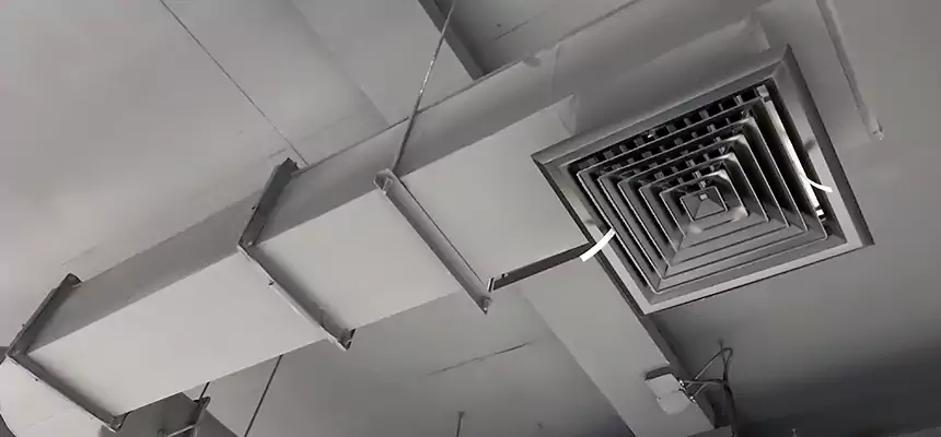 Our Pest Removal From Ducts Services in Laurel, MS