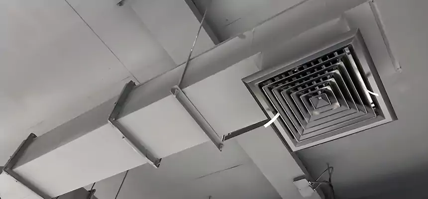 Our Rodent Droppings In Vents Services in Laurel, MS