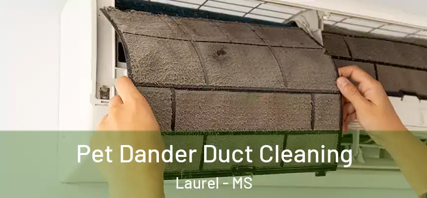  Pet Dander Duct Cleaning Laurel - MS