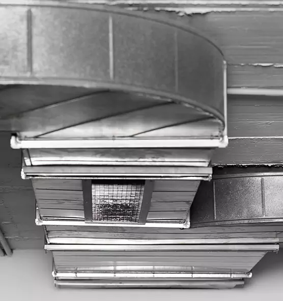 Professional Air Duct Pet Hair Removal in Laurel, MS