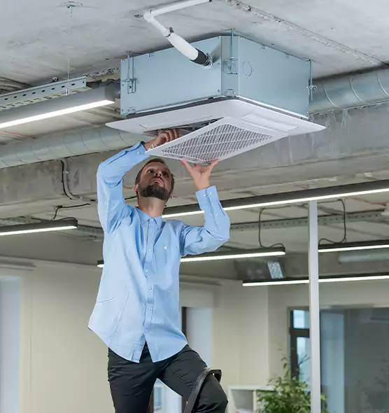 Advanced Rodent Droppings In Vents in Laurel, MS