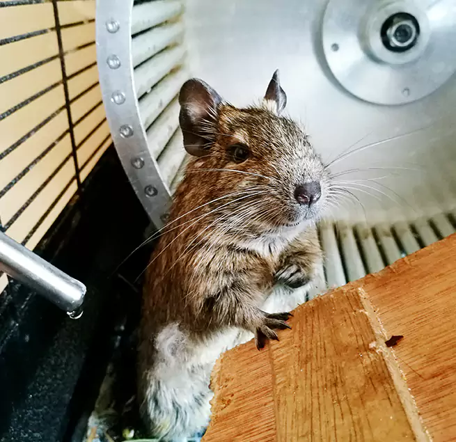 Why Homeowners & Businesses Trust Us Laurel, MS