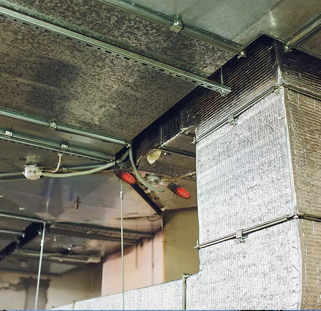 Why Homeowners & Businesses Trust Us Laurel, MS?